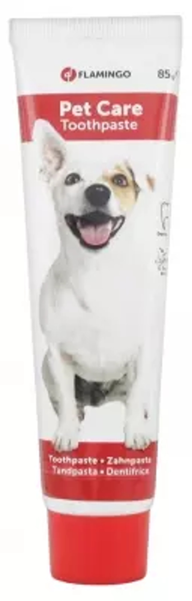 Flamingo Mint Toothpaste For Pets 85G