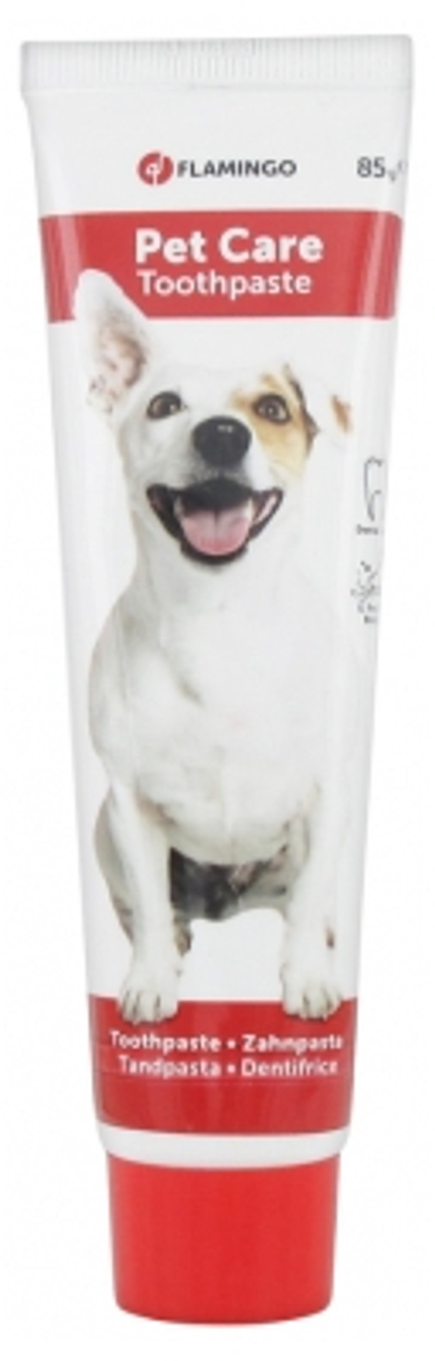 Flamingo Mint Toothpaste For Pets 85G