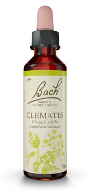 Fleurs De Bach Original Clematis 20Ml