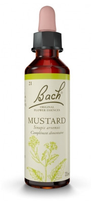 Fleurs De Bach Original Mustard 20Ml