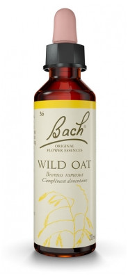 Fleurs De Bach Original Wild Oat 20Ml