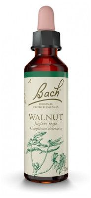 Fleurs De Bach Original Walnut 20Ml