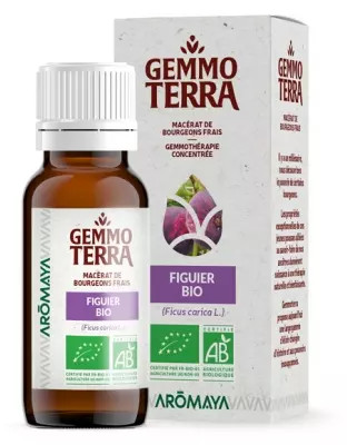 Gemmo Terra Fig Tree Bio 30 Ml