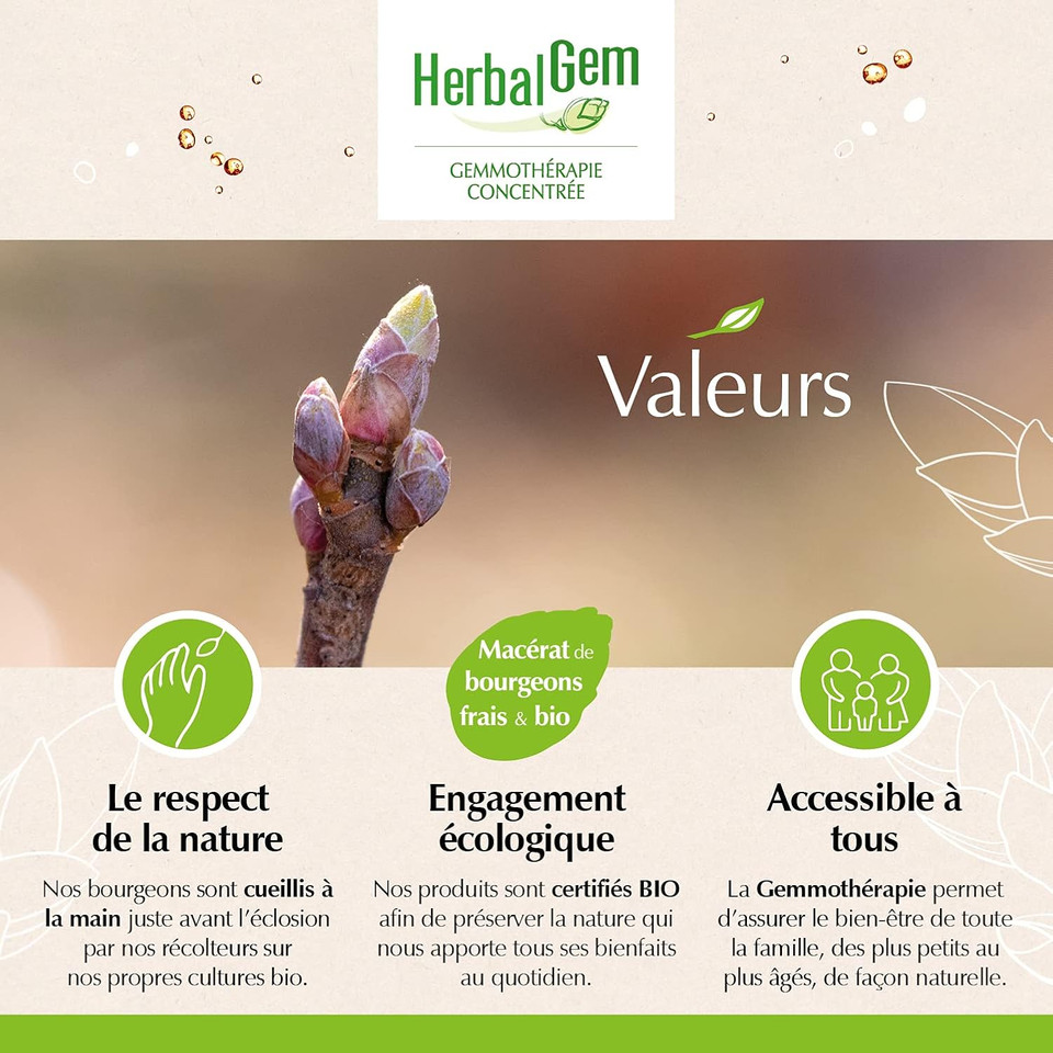 HerbalGem Organic Horsetail 30ml