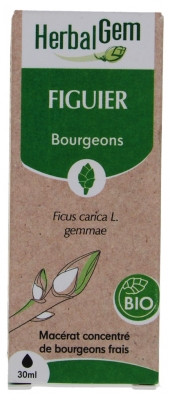 Herbalgem Organic Fig Tree 30Ml
