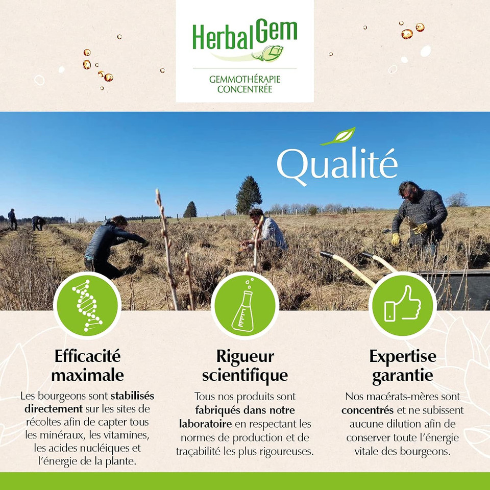 HerbalGem Organic Periwinkle 30ml