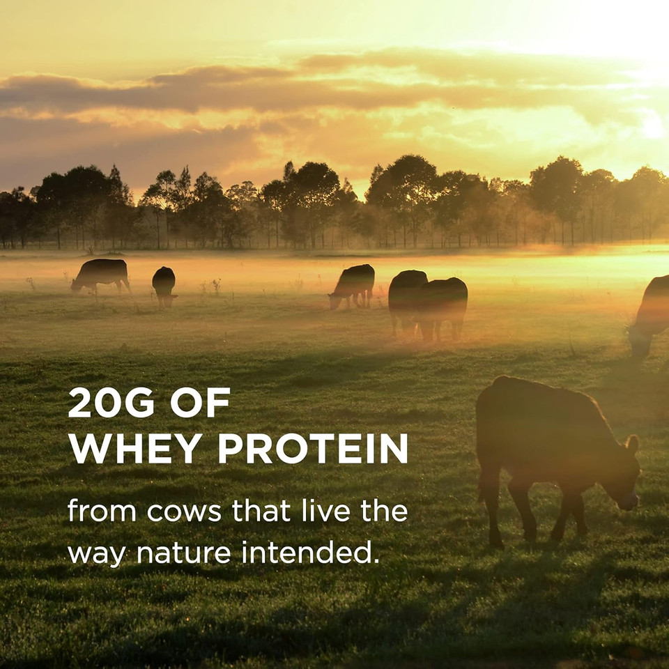 Solgar Grass Fed Whey To Go Protein Powder Vanilla, 2 Lb - 20G Of Grass-Fed Protein From New Zealand Cows - Great Tasting & Mixes Easily - Supports Strength & Recovery -, 36 Servings Solgar Grass Fed Whey To Go Protein Powder Vanilla, 2 Lb - 20G Of Grass-Fed Protein From New Zealand Cows - Great Tasting & Mixes Easily - Supports Strength & Recovery -, 36 Servings