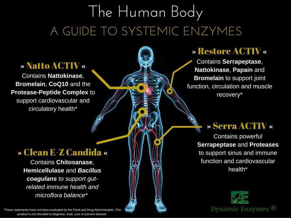 Restore Activ - Muscle, Joint & Tissue Support, Acid-Resistant Serrapeptase And Nattokinase - Systemic Enzymes | 90 Count