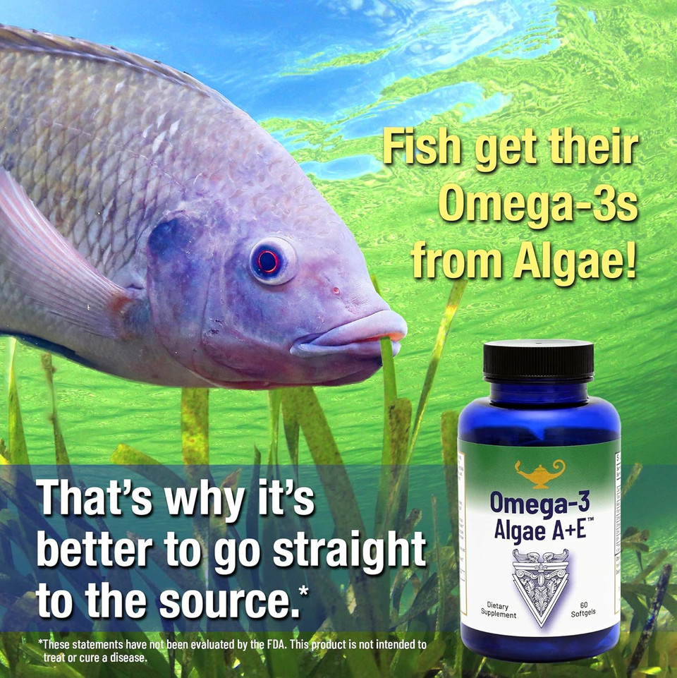 Omega-3 Algae A+E Plant Based Dha & Epa Fatty Acids - Alternative To Fish Oil - Plus Vitamin A And E - Supports Heart, Brain, Joint Health - From Dr. Carolyn Dean