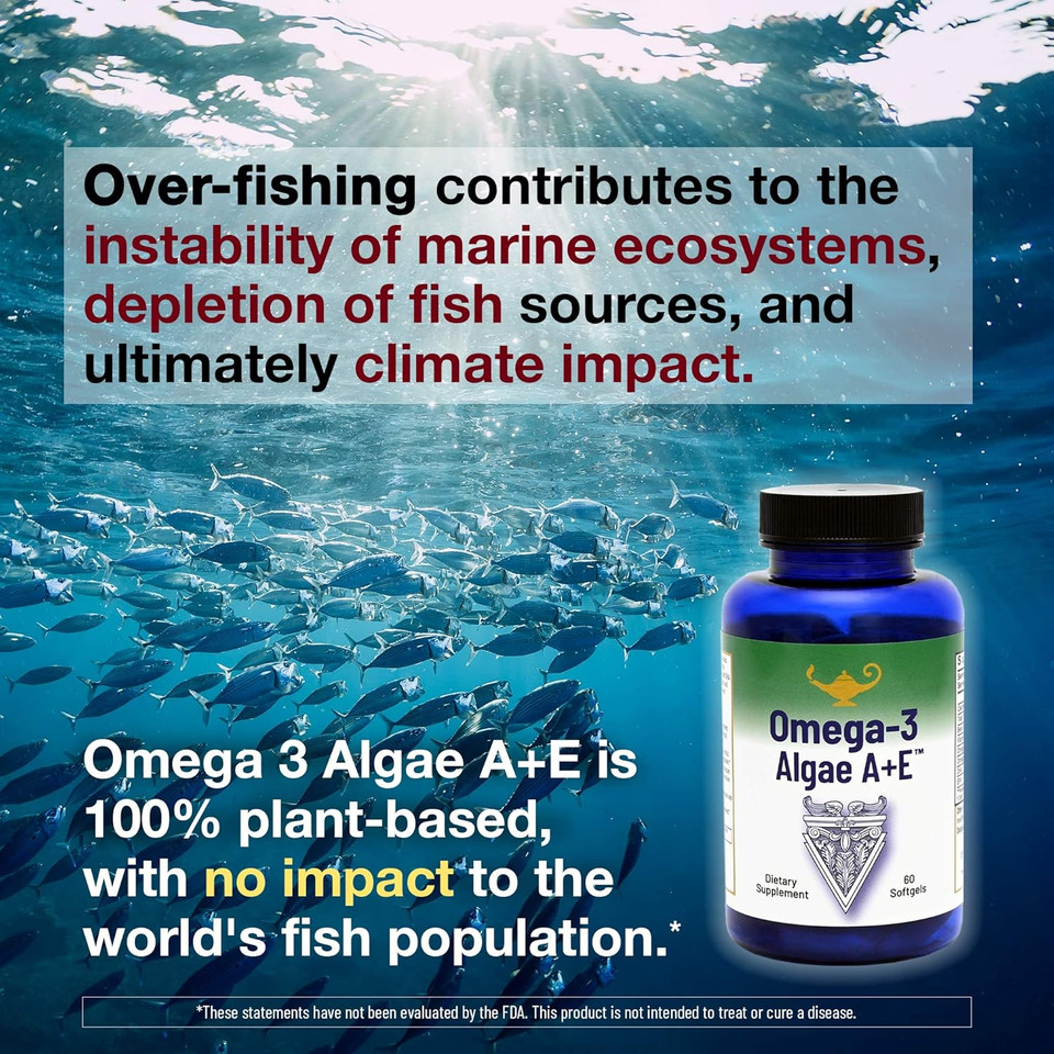 Omega-3 Algae A+E Plant Based Dha & Epa Fatty Acids - Alternative To Fish Oil - Plus Vitamin A And E - Supports Heart, Brain, Joint Health - From Dr. Carolyn Dean