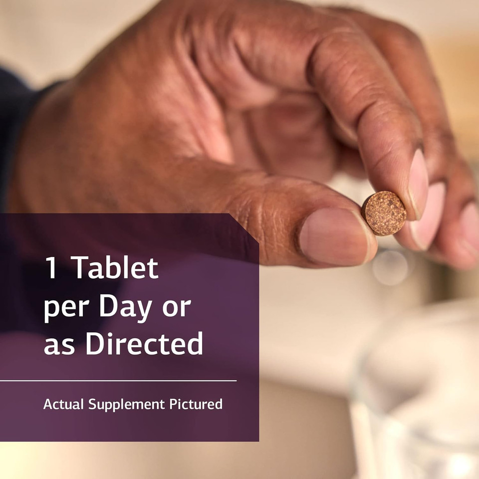 Standard Process Zinc Chelate - Whole Food Digestion And Digestive Health, And Skin Health With Beet Root And Zinc - 180 Tablets