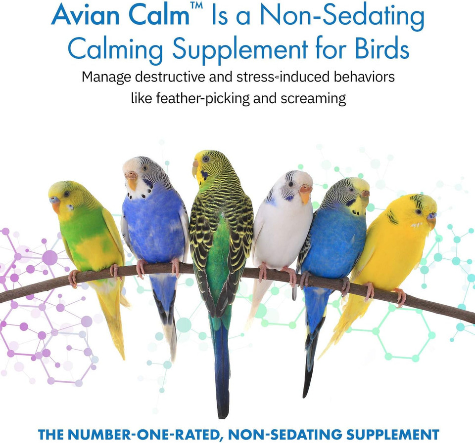 Avian Calmâ Dietary Supplement For Parrots, All-Natural Calming Supplement (120 Servings)