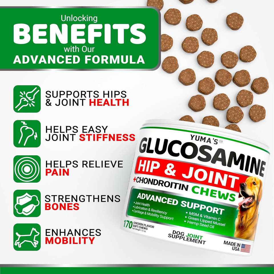 Glucosamine For Dogs - Hip And Joint Supplement For Dogs - 170 Ct - Glucosamine Chondroitin Chews - Joint Pain Relief Supplement With Msm - Advanced Health - Mobility Support - Made In Usa