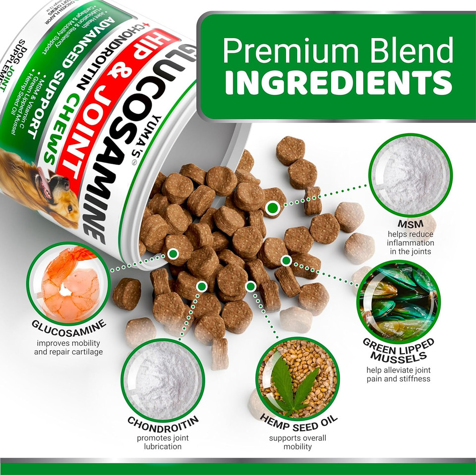 Glucosamine For Dogs - Hip And Joint Supplement For Dogs - 170 Ct - Glucosamine Chondroitin Chews - Joint Pain Relief Supplement With Msm - Advanced Health - Mobility Support - Made In Usa
