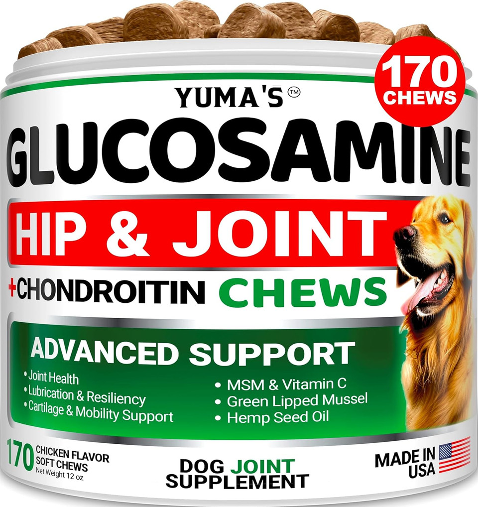 Glucosamine For Dogs - Hip And Joint Supplement For Dogs - 170 Ct - Glucosamine Chondroitin Chews - Joint Pain Relief Supplement With Msm - Advanced Health - Mobility Support - Made In Usa