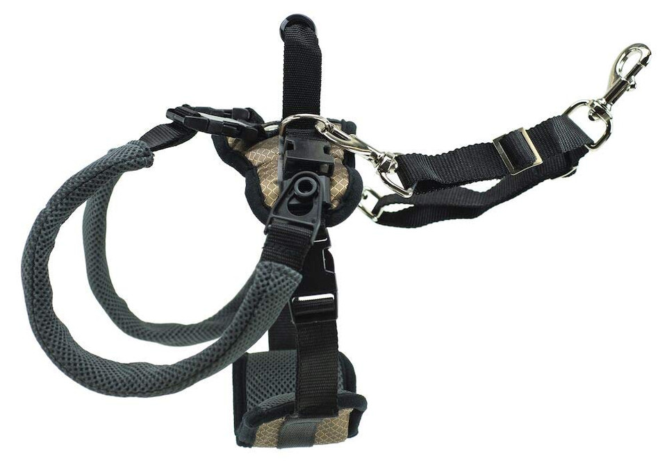 PetSafe Solvit Care Lift Dog Lifting Harness for Rear Legs (Black, Medium)