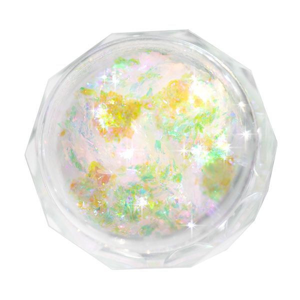Magical Makeup Rainbow Aurora Chameleon Pigment Flakes 1G