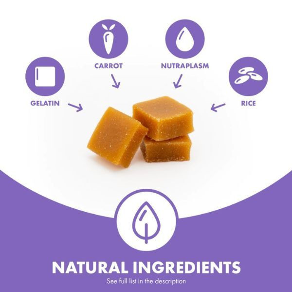 Dotdotpet Multifit Gummies Functional Treats Dog 30 Gummies