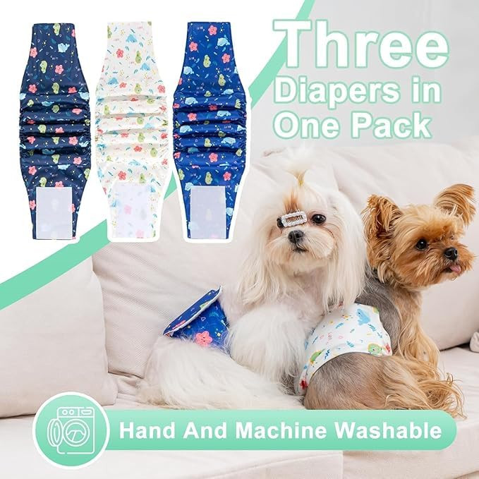 Reusable male dog belly band – washable, absorbent wrap for small dogs with incontinence.