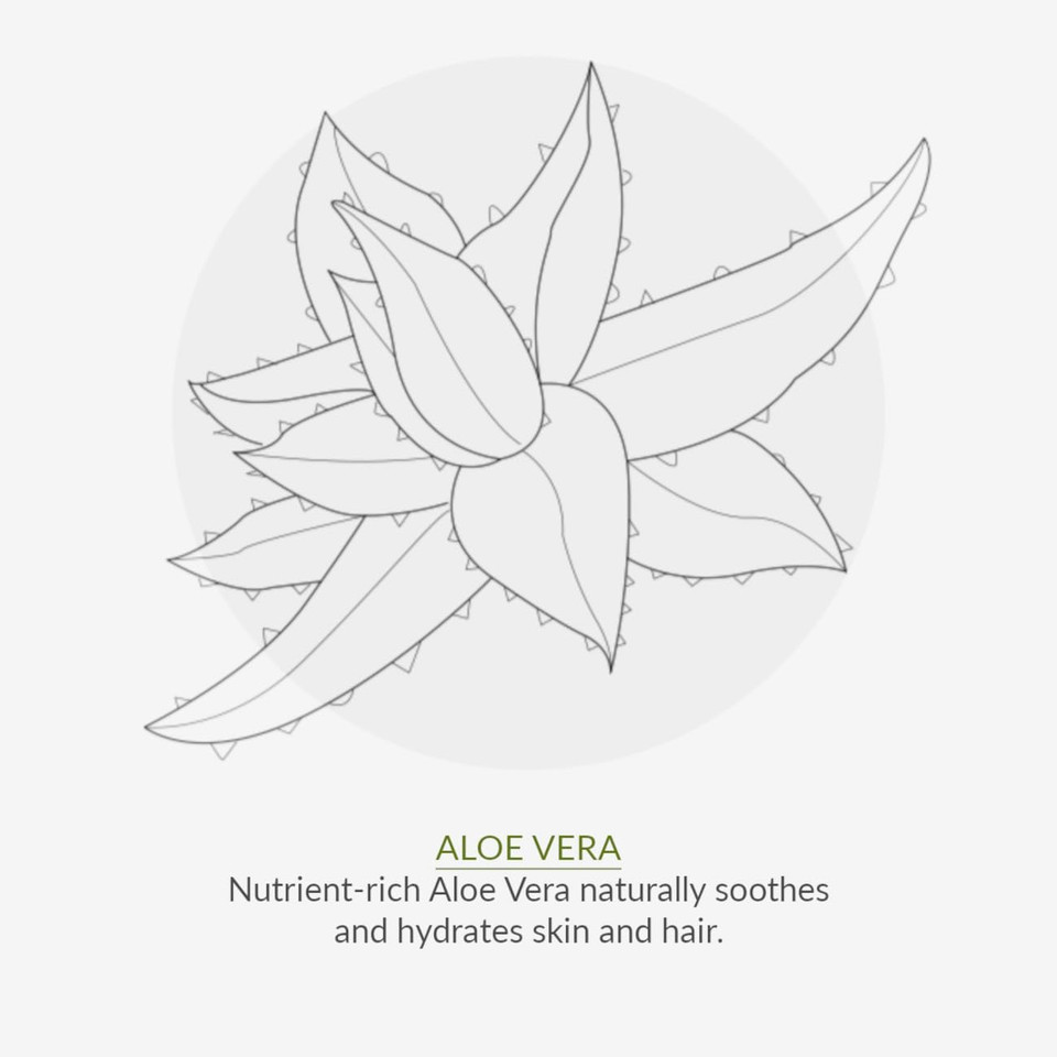 Green People Rosemary and Prebiotics Deodorant - Suitable for Sensitive Skin - Organic, Cruelty Free & Vegan, 75ml