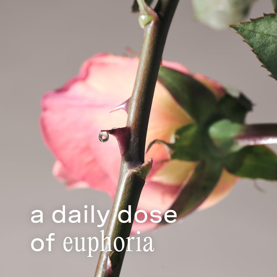 Addison Rae Fragrance Happy - Mood-Boosting Fragrance Gift Set for Women - Lychee and Pink Grapefruit Notes - Eau de Parfum and Body Spray - 2 pc