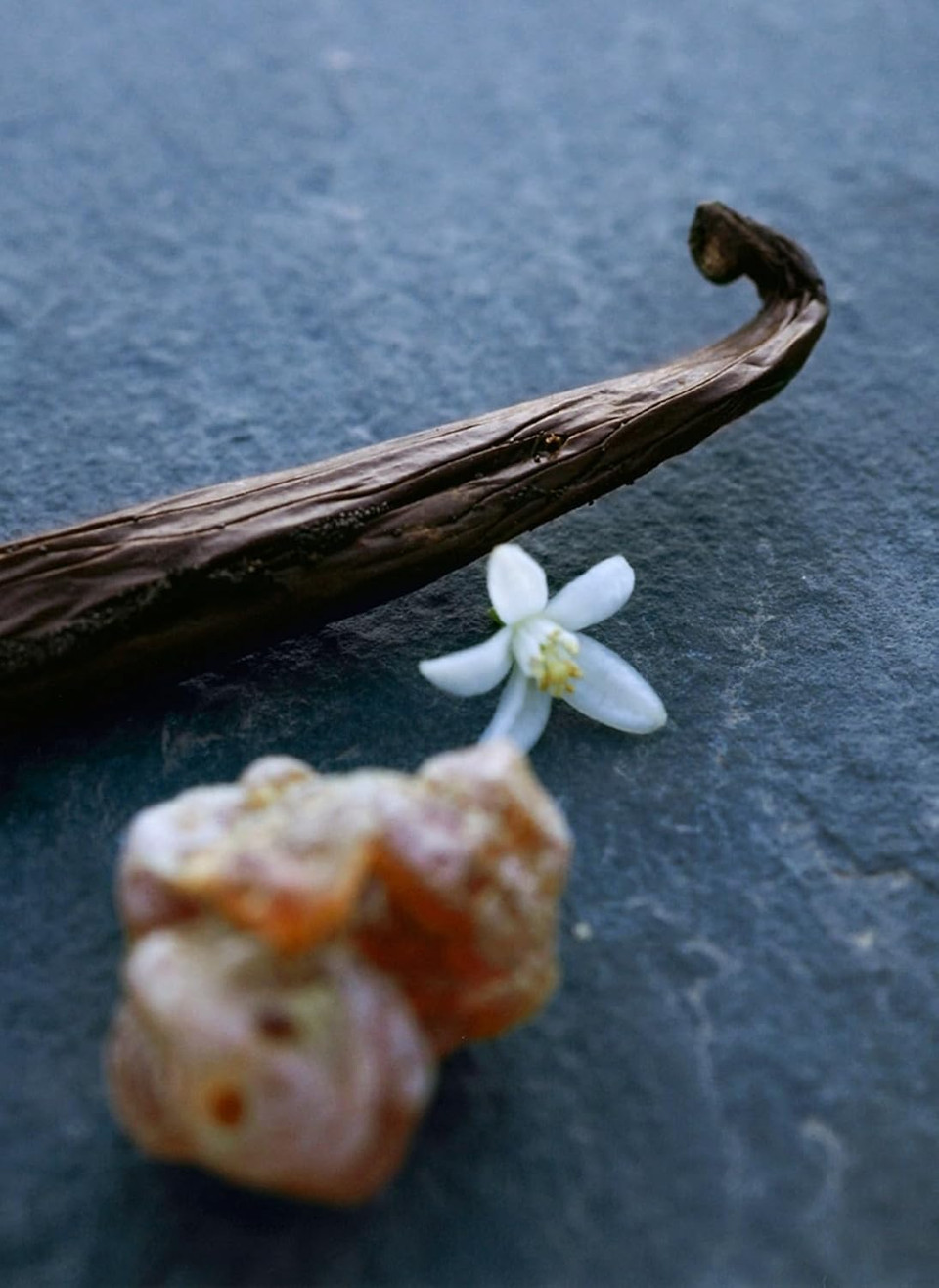 Chloé Nomade Nuit d'Egypte Eau de Parfum 50ml