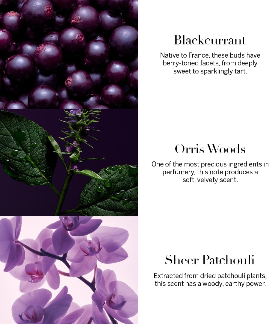 Victoria's Secret Very Sexy Orchid Eau De Parfum Spray 100ml