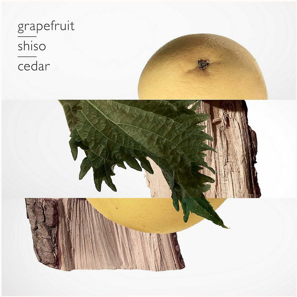 Hermès Terre D'hermès Soap 100g