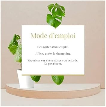 Arganicare | Castor Range | 10-IN-1 RINSE-FREE REPAIR SPRAY | Castor | Eliminates Frizz & Prevents Split Ends | Shiny Effect | High Hydration | All hair types | 400mL