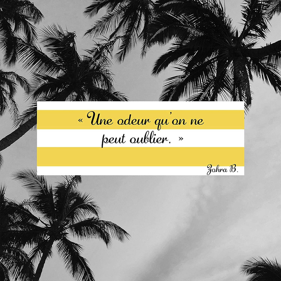 Giorgio Beverly Hills - Giorgio Yellow Fragrance Mist 236ml (Pack of 2)