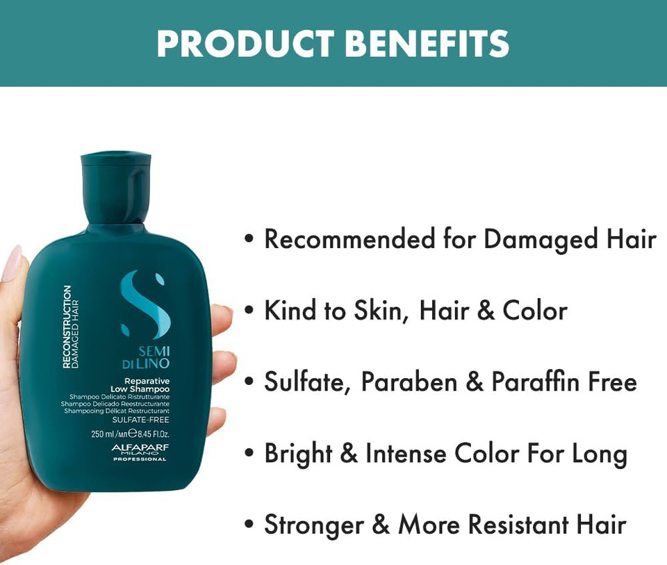 AlfaParf Semi di Lino Reconstruction Reparative Low Shampoo 250 ml (SD/53)