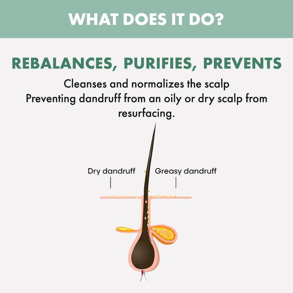 Alfaparf Milano Semi di Lino Scalp Rebalance Balancing Low Shampoo, 1 L, 8022297095929