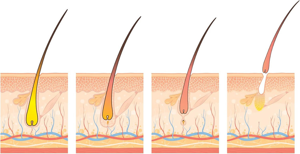 Annurkap Fiale Anticaduta Capelli Fortificante Energizzante, 10 Fiale