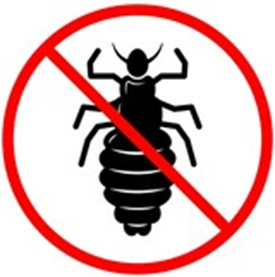 Ecenti Kids Leave in Lice Repellent Conditioner Spray 125ml