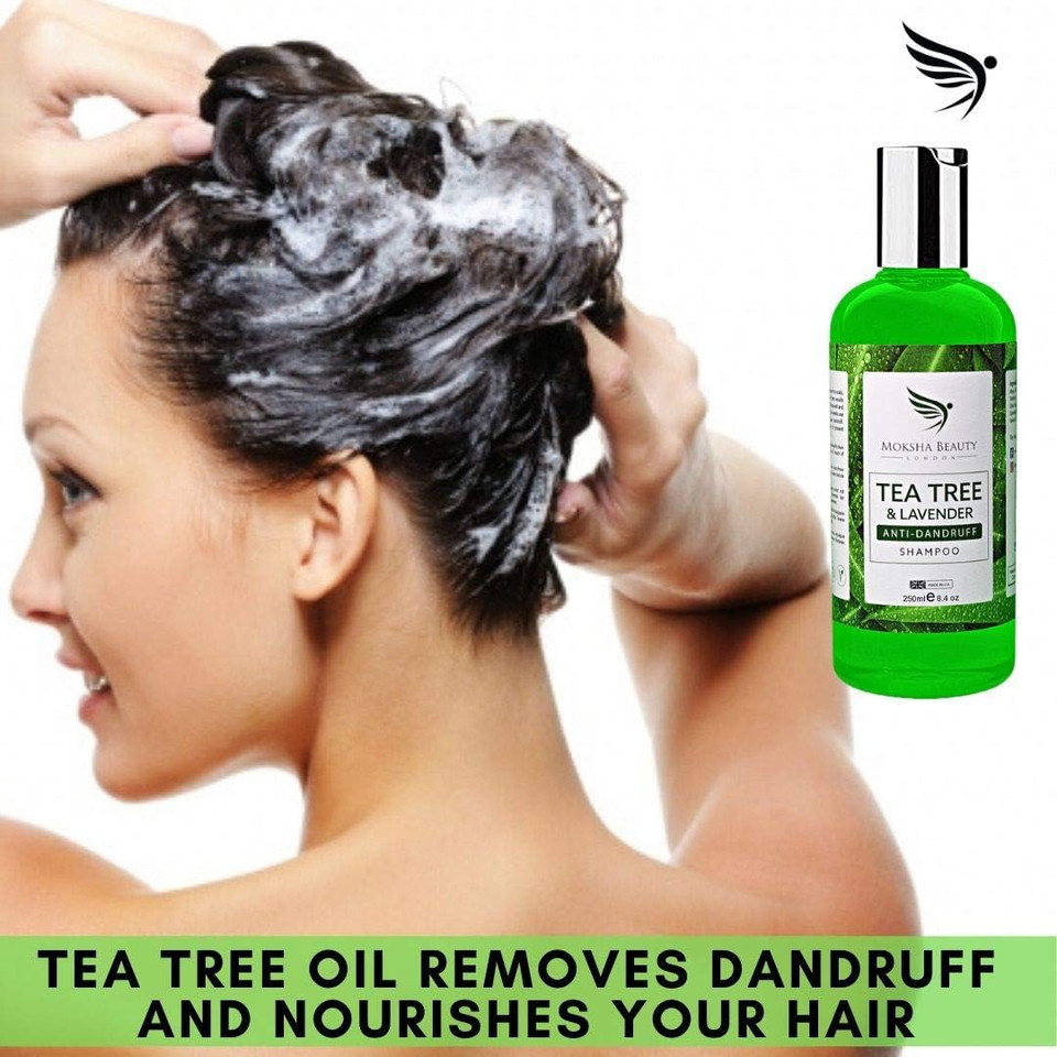 Tea Tree Oil Anti Dandruff Shampoo - 2 Pack [Made In UK] Therapeutic Grade | Antifungal for Dry Itchy Flaky Scalp and Hair | Prevents Head Lice Men Women | 250ml