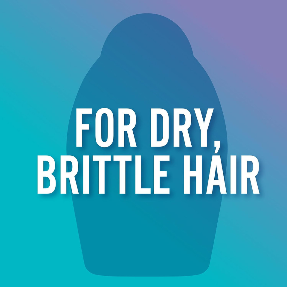 OGX Repairing Argan Oil of Morocco Sulfate Free hair Shampoo For Dry, Damaged Hair 577ml, Extra Large