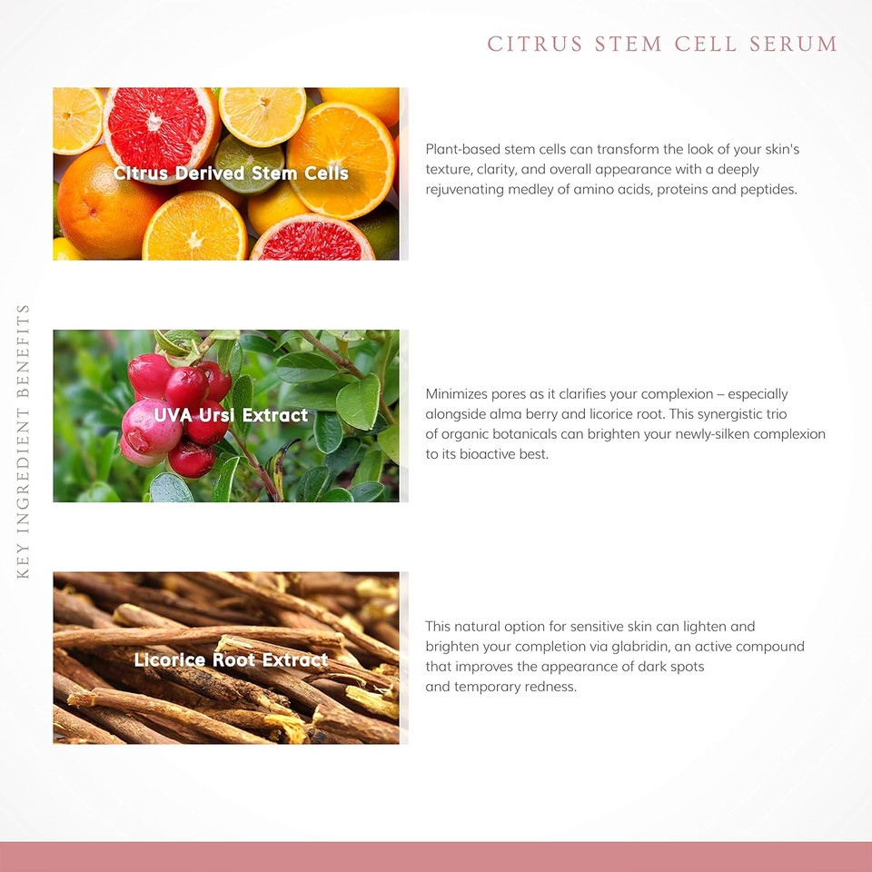 Annmarie Skin Care Citrus Stem Cell Serum - Aloe-Vera Based Serum With Citrus-Derived Stem Cells, Brightening & Toning Serum For Dark Spots, Dry & Dull Skin, All Skin Types (15Ml, 0.5 Fl Oz)