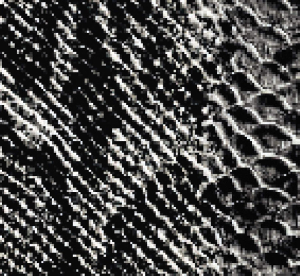 Guerlain Exotic Safari