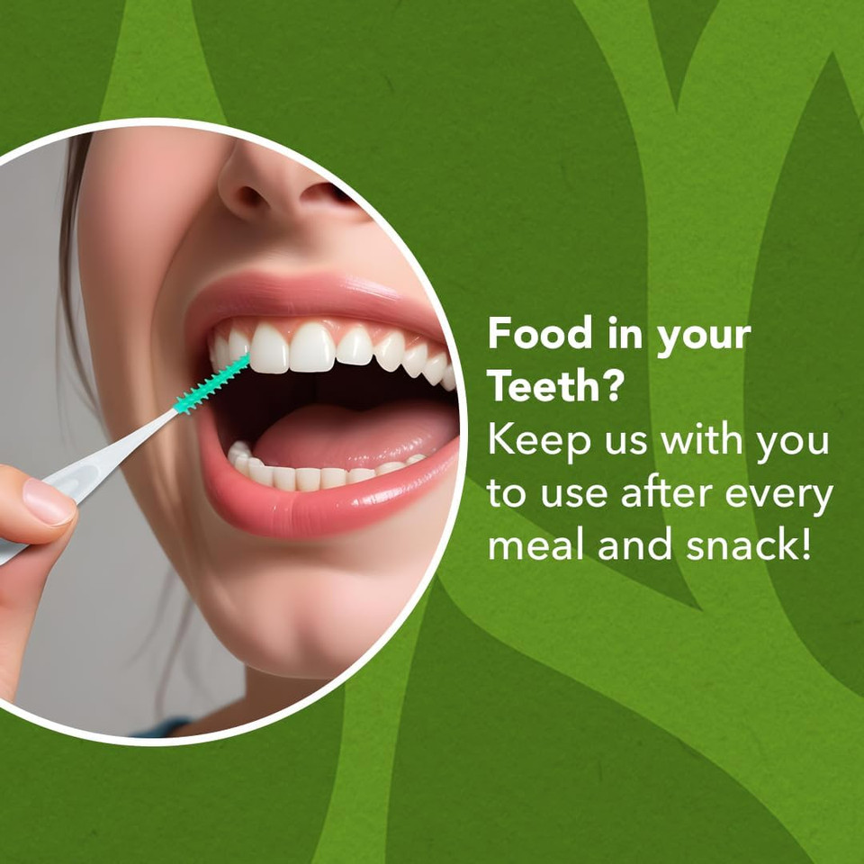 DenTek Eco-Friendly Interdental Comfort Picks - Medium/Large, for Removing Food and Plaque Between Teeth. 40 Pack