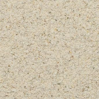 Wholefood Earth Organic Wholemeal Rye Flour  1 kg | GMO Free | Vegan | High Fibre | Certified Organic (Pack of 2)