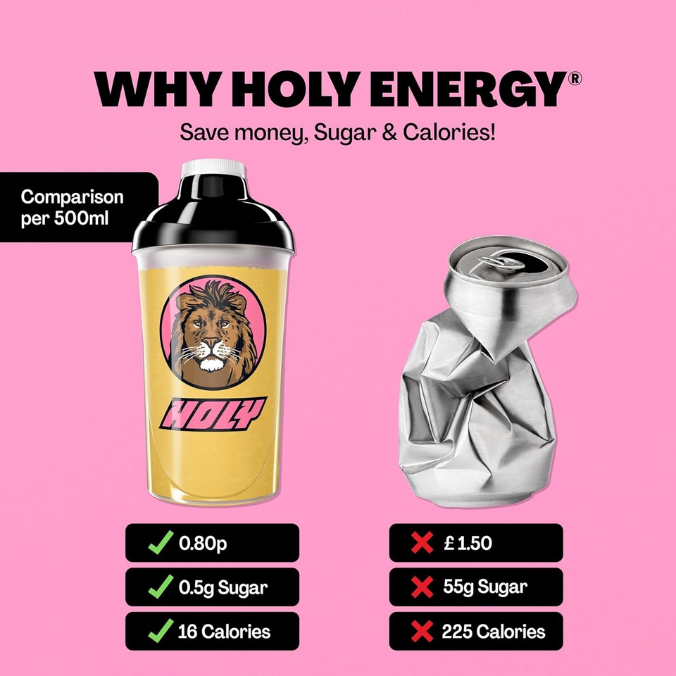 HOLY Energy Gaming Booster Flavour Powder | 50 portions with NewCaff & Green Tea Extract | Focus Booster - Focus Drink | Vegan with 100% natural fruit flavours (350 grams, Lion's Lemonade)