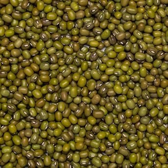 Wholefood Earth Organic Mung Beans 500g GMO Free | Vegan | High Fibre | High Protein | Certified Organic
