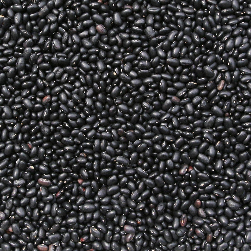 Wholefood Earth Organic Black Turtle Beans 3kg Raw | GMO Free | Vegan | High Fibre | High Protein | Certified Organic