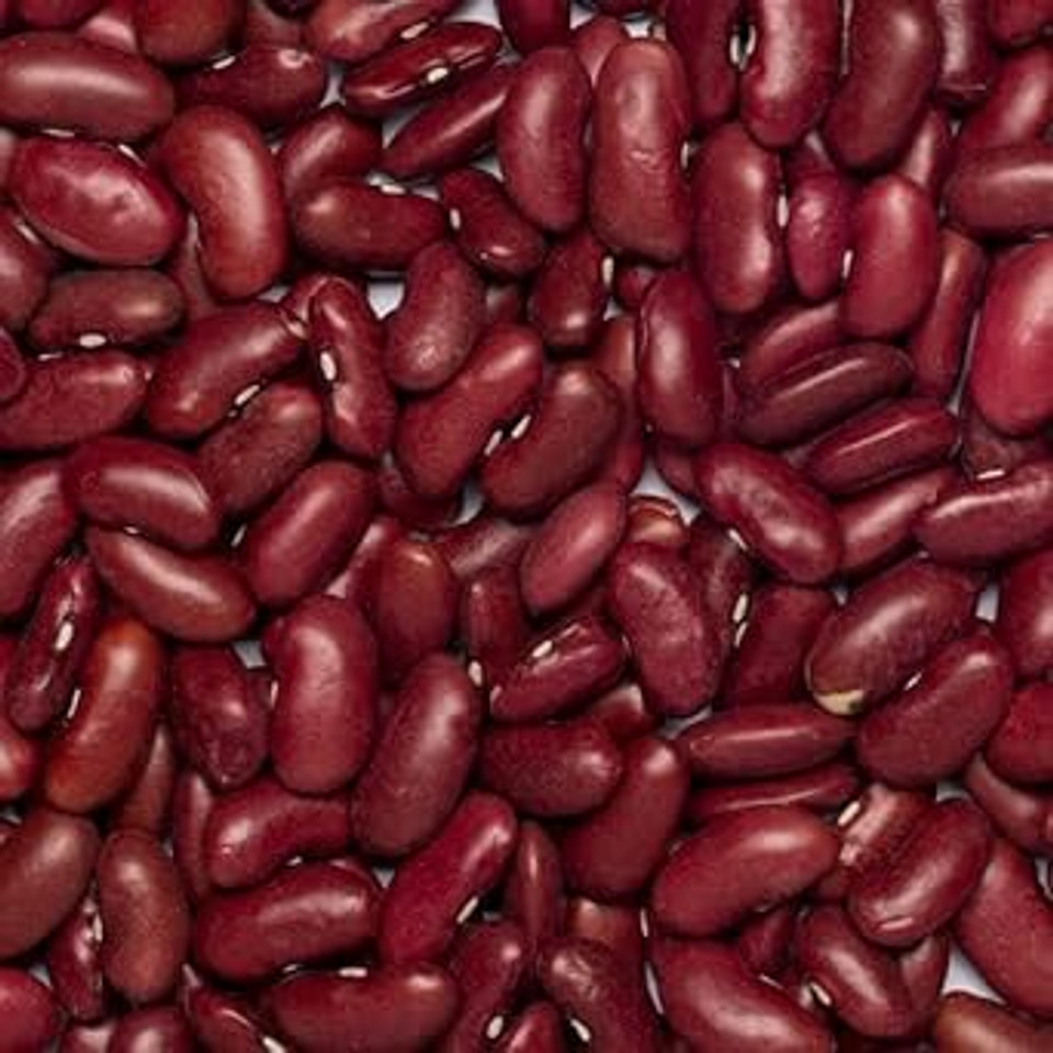 Wholefood Earth Organic Red Kidney Beans 500g Raw | Vegan | GMO Free | Dark Red | High Fibre | High Protein | Certified Organic