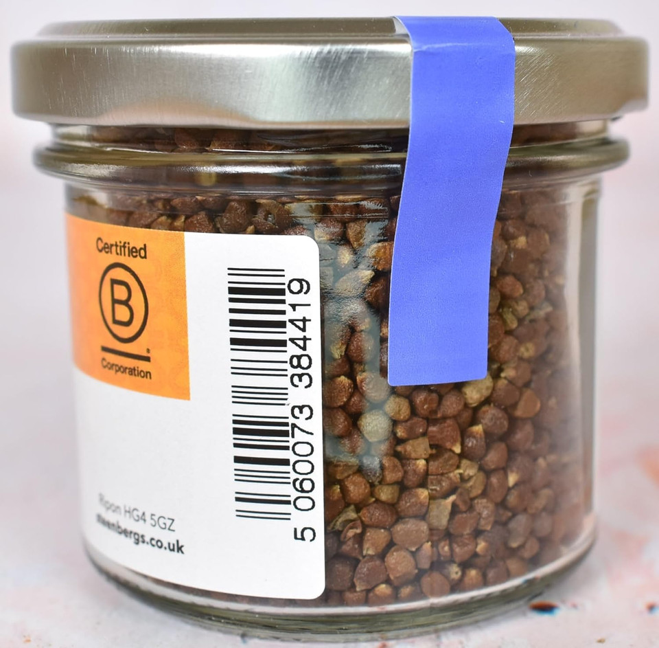 Steenbergs Grains Of Paradise Spice Standard Jar - 60g