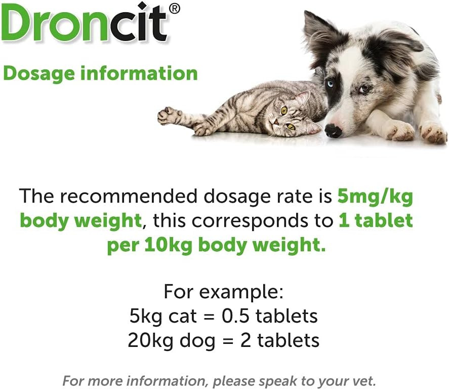 Droncit Tapewormer Tablet For Dogs and Cats (1 Tablet)