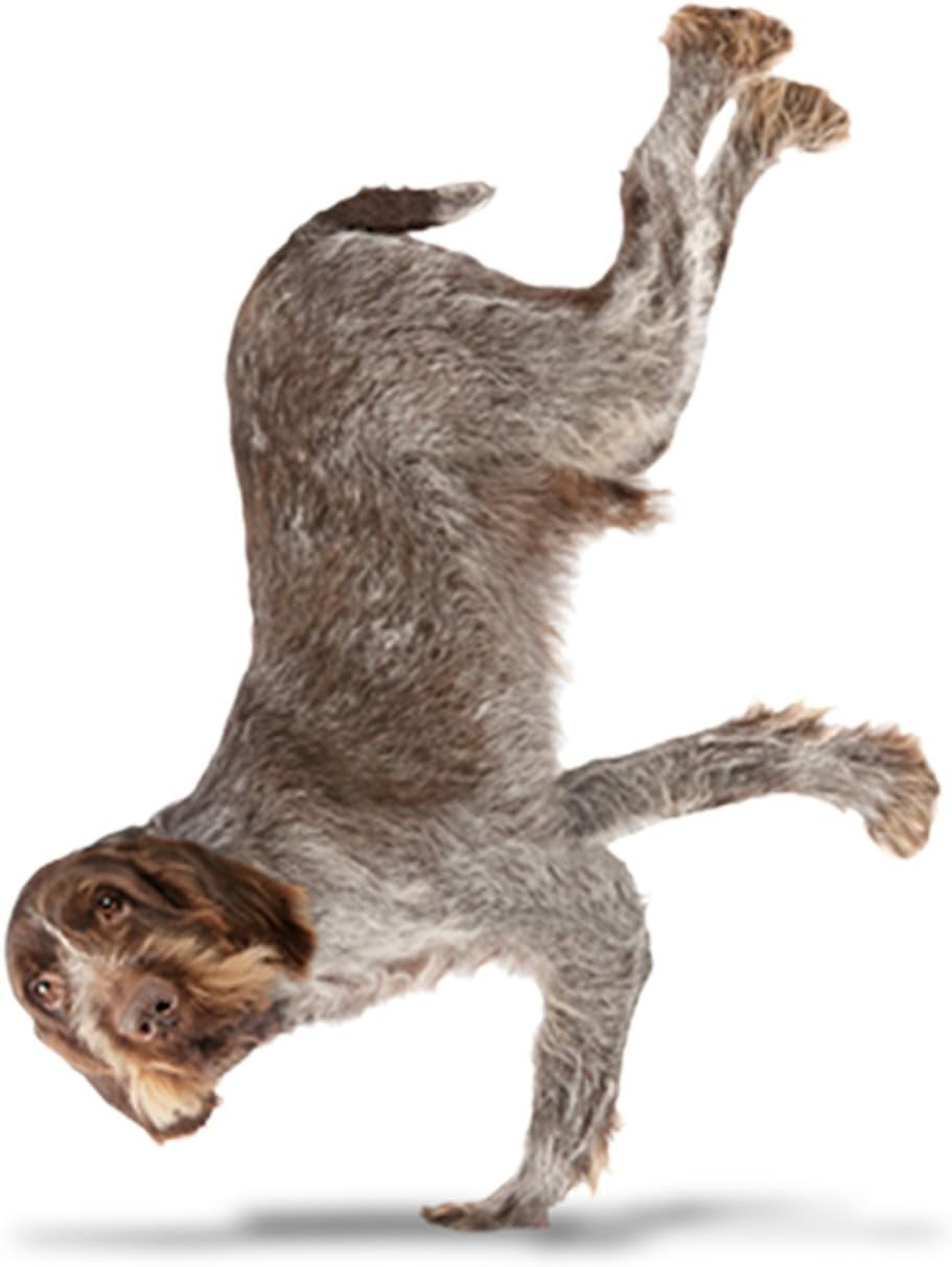 Madra Mor Pet Energise Mobility Mud, 296 ml