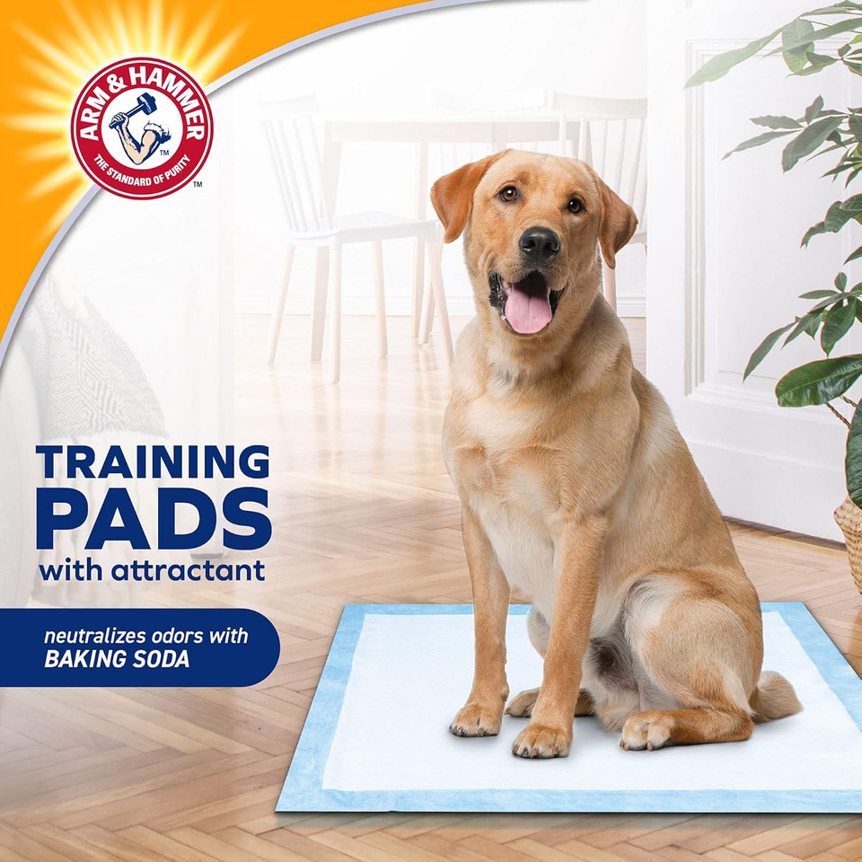 Arm & Hammer Pads for Stay at Home Dogs - 200ct