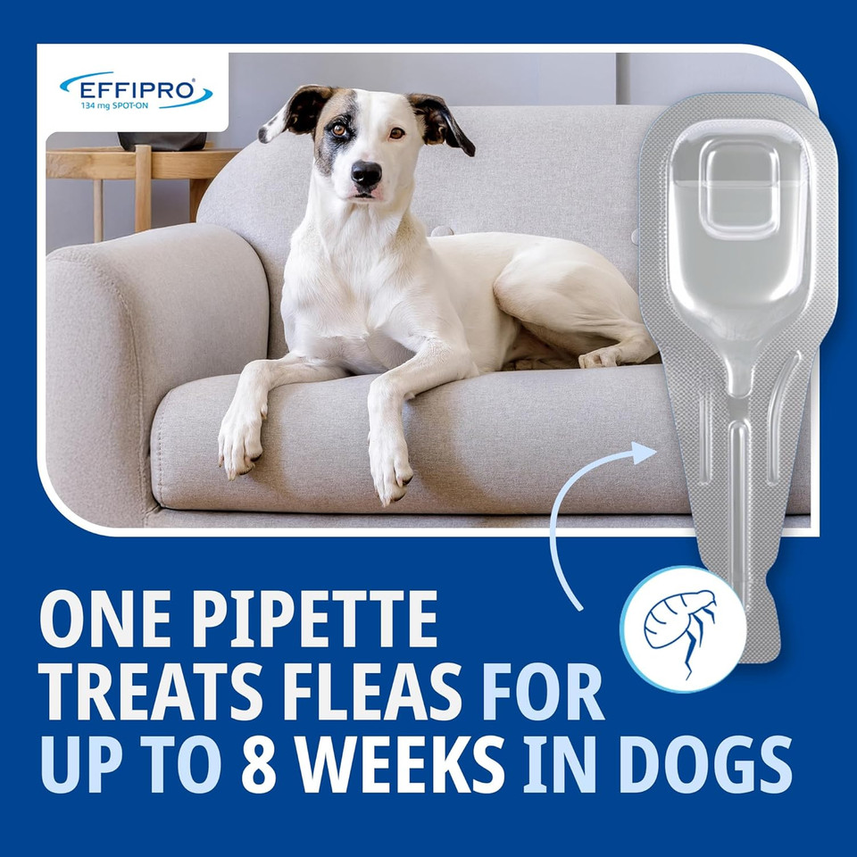 Effipro Flea & Tick Spot-On for Medium Dogs 10-20kg | Fast-Acting | 4 Pipettes | Vet-Strength Formula | Easy to Apply