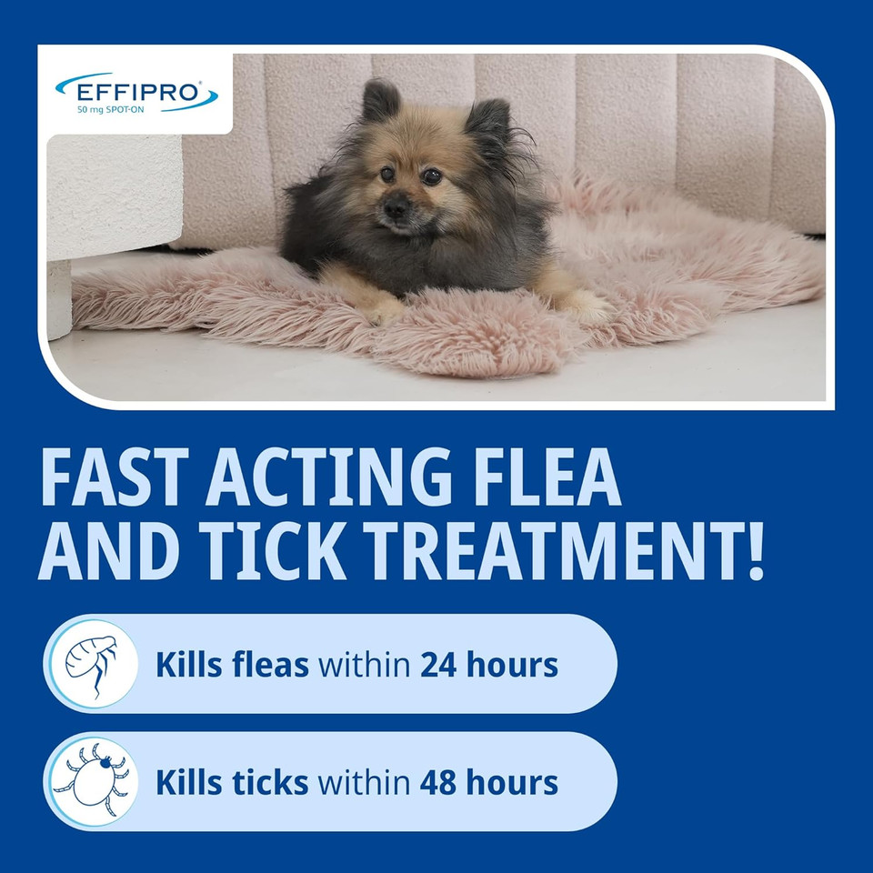 Effipro Flea & Tick Spot-On for Small Dogs 2-10kg | Fast-Acting | 4 Pipettes| Vet-Strength Formula | Easy to Apply | Kills Fleas & Ticks
